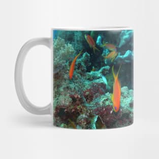 Red Sea Coral Reef Mug